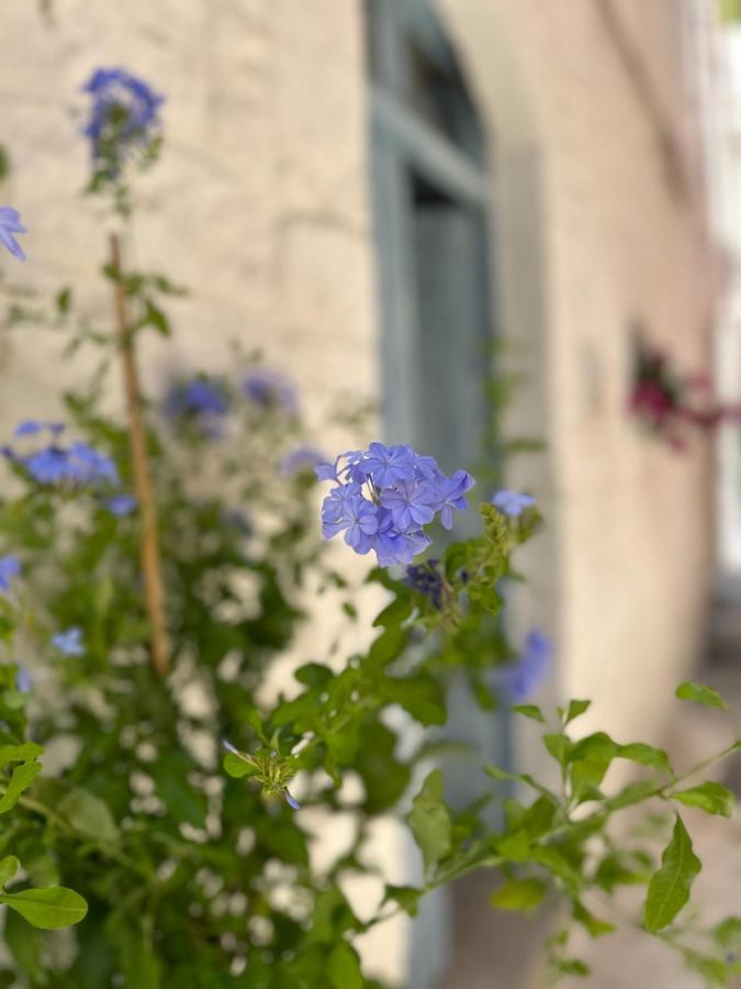 Bianco Calce - Ostuni Villa Luaran gambar